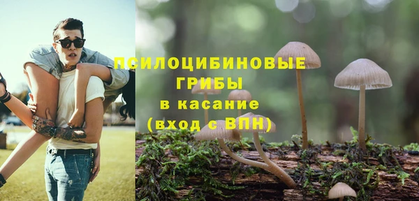 трава Баксан