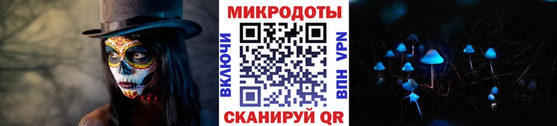 дарнет шоп  Нея  Галлюциногенные грибы мухоморы 